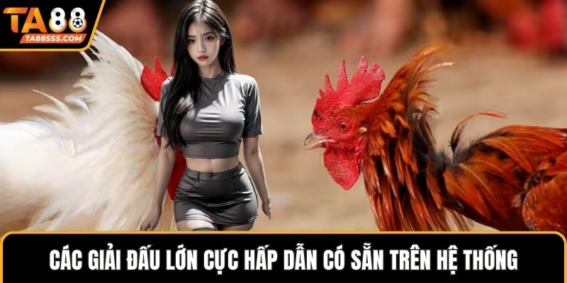 Các giải đấu lớn cực hấp dẫn có sẵn trên hệ thống