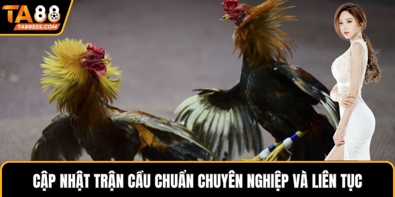 Cập nhật trận cầu chuẩn chuyên nghiệp và liên tục