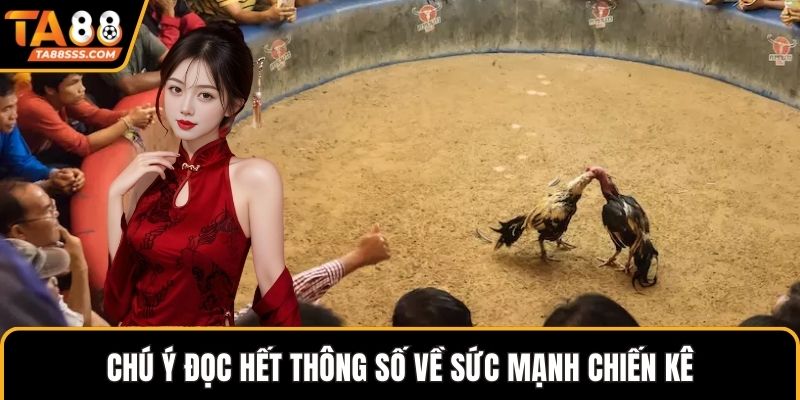 Chú ý đọc hết thông số về sức mạnh chiến kê