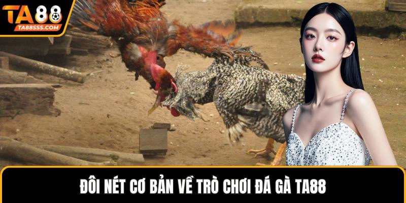 Đôi nét cơ bản về trò chơi đá gà TA88