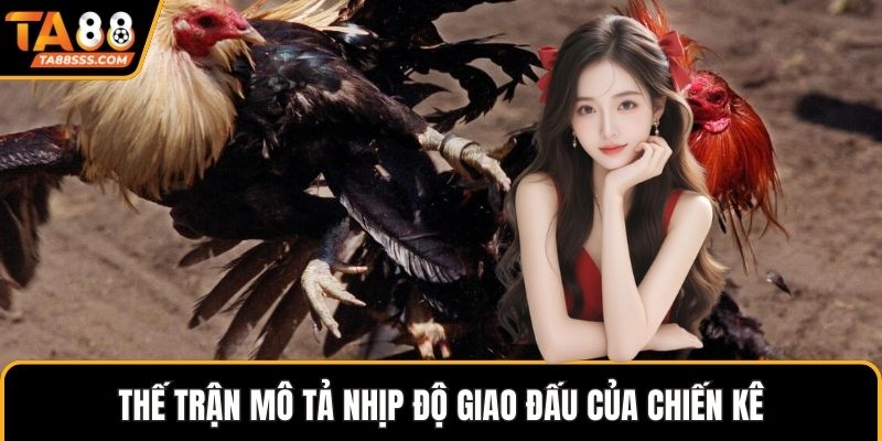 Thế trận mô tả nhịp độ giao đấu của chiến kê