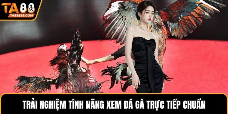 Trải nghiệm tính năng xem đá gà trực tiếp chuẩn