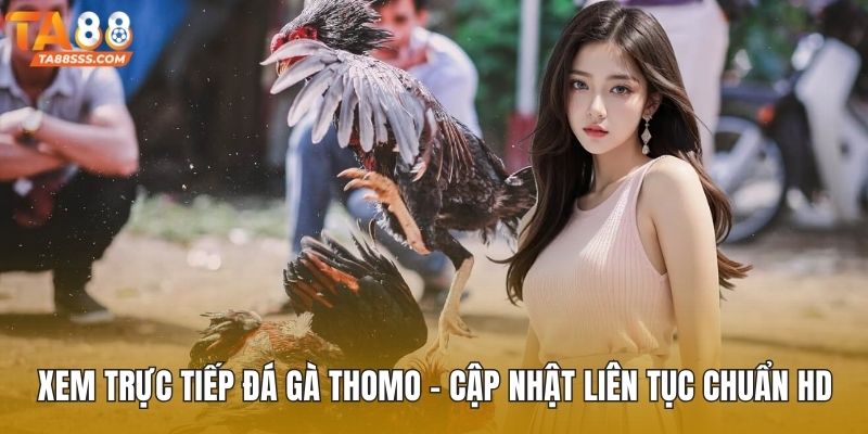 Trực tiếp đá gà Thomo